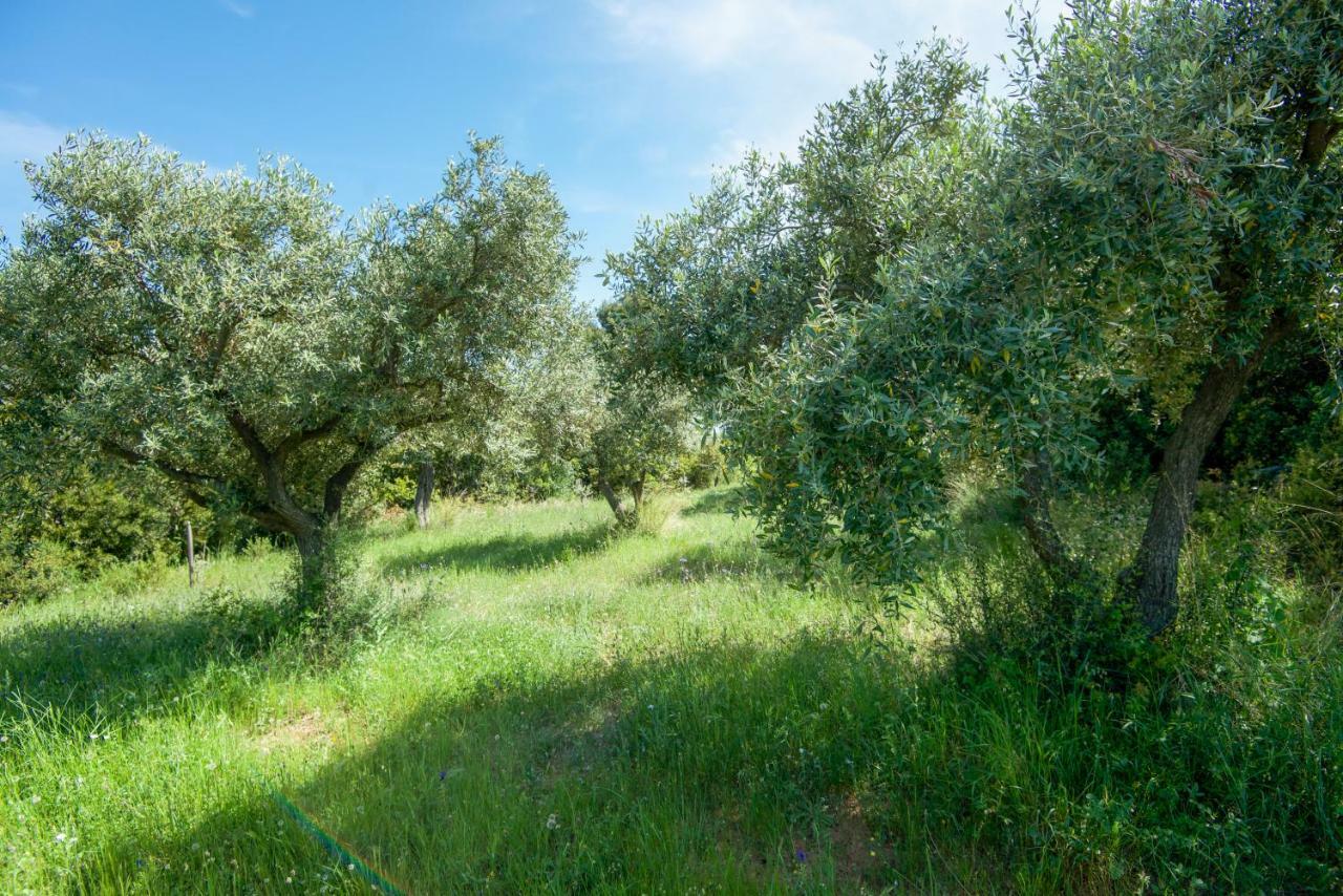 Avaton Farm Villa Ouranoupoli Bagian luar foto