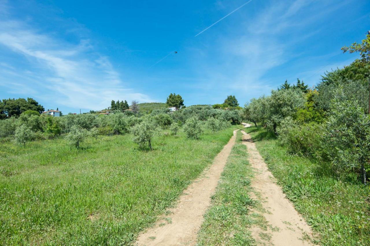 Avaton Farm Villa Ouranoupoli Bagian luar foto